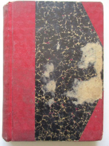 Rodzievics Mária - Lengyel sors - Regény a lengyel szenvedések korából