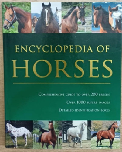 Debby Sly - Encyclopedia of Horses