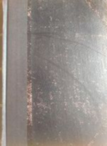 Salamon Ferencz - Irodalmi tanulm�nyok I.