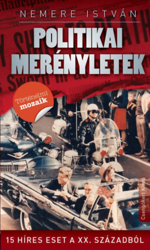 Nemere Istvn - Politikai mernyletek