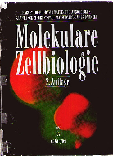 Harvey Lodish; David Baltimore; Arnold Berk; S. Lawrence Zipursky; Paul Matsudaira; James Darnell - Molekulare Zellbiologie