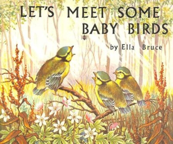 Ella Bruce - Let's Meet Some Baby Birds