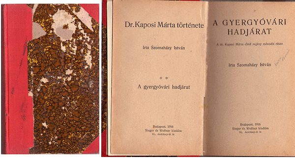 Szomah�zy Istv�n - A gyergy�v�ri hadj�rat