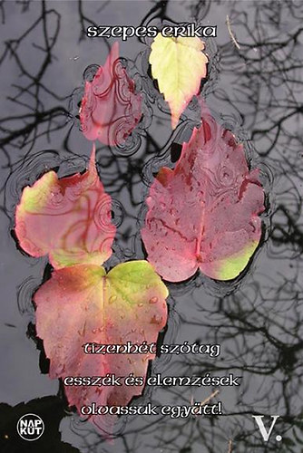 Szepes Erika - Tizenh�t sz�tag - Essz�k �s elemz�sek