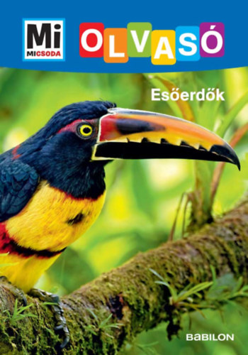 Christina Braun - Esőerdők