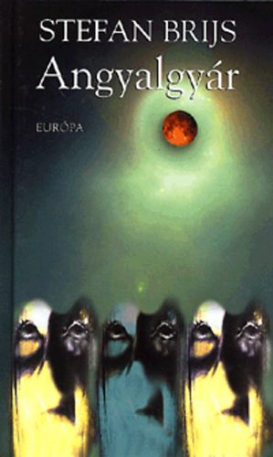 Stefan Brijs - Angyalgyár