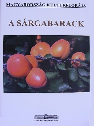 Sur�nyi Dezs� - A s�rgabarack