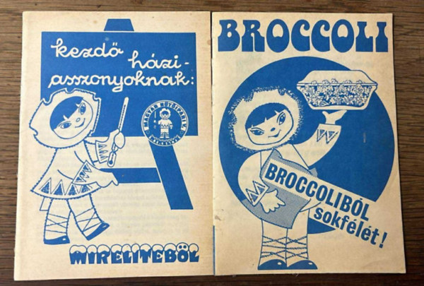 2 db gasztro fzet: Broccolibl sokflt!Kezd hziasszonyoknak mirelitbl