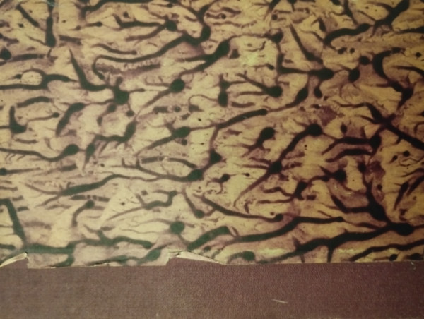 Remenyik Zsigmond - K�lt� �s a val�s�g