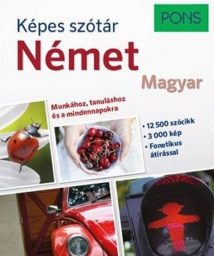 Temesvri Zsolt, Doba Dra Szaniszl Szilvia - Pons Kpes sztr: Nmet Magyar - Munkhoz, tanulshoz s a mindennapokra
