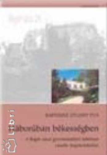 Bartosn Stiasny va - Hborban bkessgben (A Bogr utcai gyermekotthon lakinak csods megmeneklse)