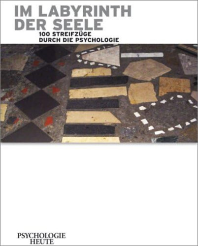 Im Labyrinth der Seele: 100 Streifz�ge durch die Psychologie