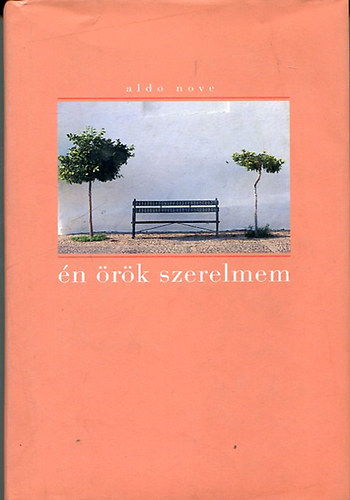 Aldo Nove - �n �r�k szerelmem