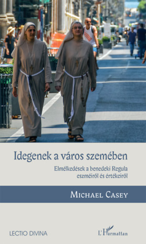 Michael Casey - Idegenek a vros szemben