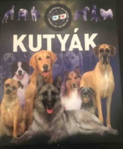 D�nsz Judit, Bagoly Ilona Horv�thn� Czentye Ibolya - Kuty�k - 3D-s k�nyvek