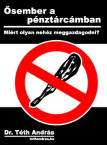 Dr. Tth Andrs - sember a pnztrcmban - Mirt olyan nehz meggazdagodni?