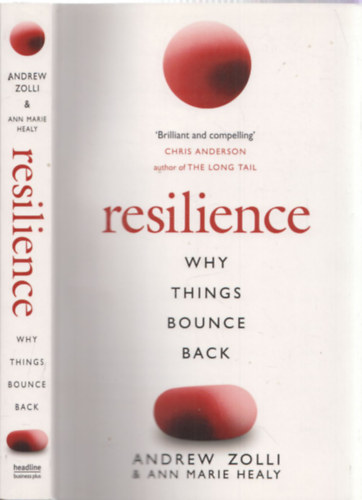 Andrew Zolli & Ann Marie Healy - Resilience - Why things bounce back