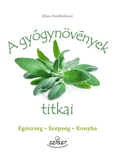 Ellen Heidbhmer - A gygynvnyek titkai