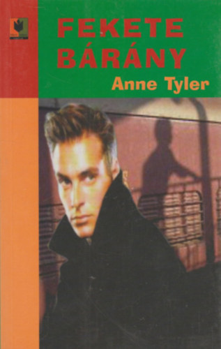 Anne Tyler - Fekete brny