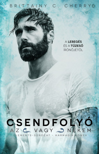 Brittainy C.Cherry - Csendfoly�