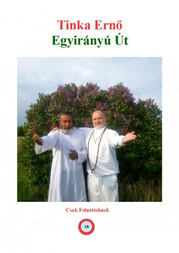 Tinka Ernő - Egyirányú Út