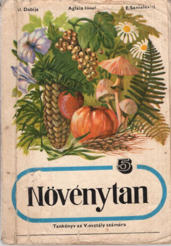 Aglaia Lonel Alexandru Dabija - N�v�nytan 5