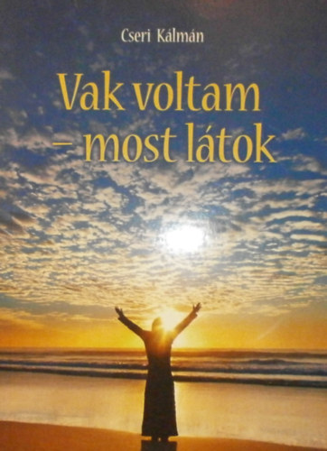 Cseri K�lm�n - Vak voltam - most l�tok