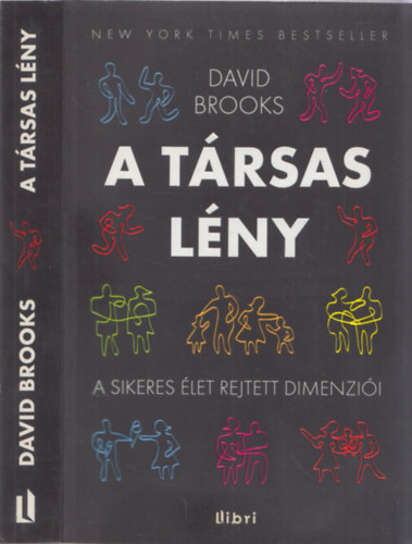 David Brooks - A t�rsas l�ny