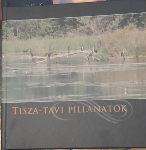 Tisza-tavi pillanatok