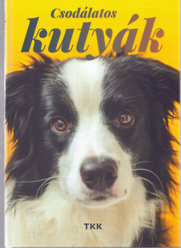 Csodálatos kutyák