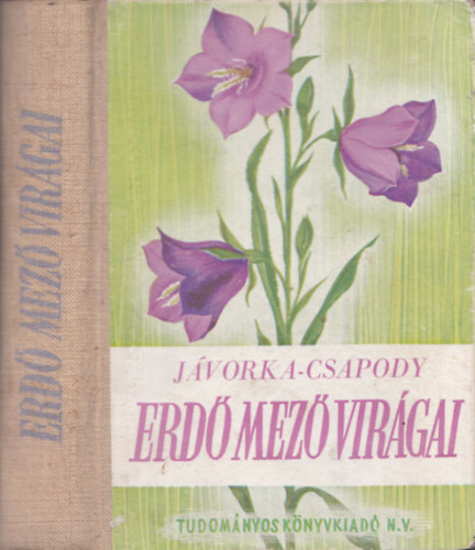 dr. J�vorka S�ndor-dr. Csapody Vera - Erd�-mez� vir�gai (A magyar fl�ra sz�nes kis atlasza)
