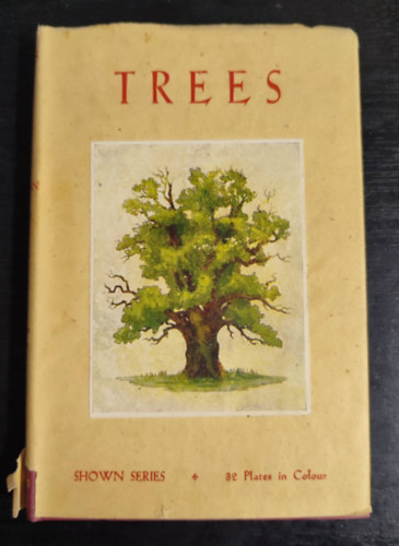 Jane Harvey Kelman - TREES