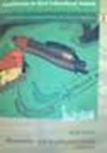 Bttl Ferenc - Bevezets a mikrokonmiba