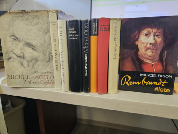 Barabs Tibor, Irving Stone, Karel Schulz, Henri Perruchot, Pierre La Mure, Lng Gyrgy, Marcel Brion Charles de Tolnay - 9db mvszeti ktet, KNYVMENT AJNLAT: Michelangelo- M s vilgkp+ Michelangelo lete+ Van Gogh lete+ Kbe zrt fjdalom+ Manet lete+ Renoir lete+ Moulin Rouge+ Primavera+ Rembrandt lete