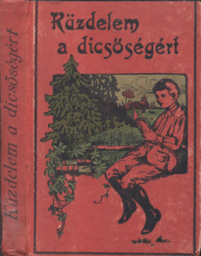 Ujfalussy Amadil - K�zdelem a dics�s�g�rt (ifjus�gi reg�ny)