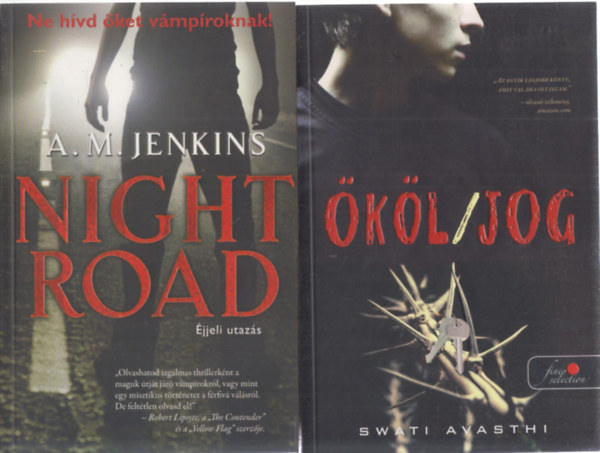 2db ifjsgi irodalom - A.M.Jenkins: Night Road (jjeli utazs) + Swati Avasthi: kl/Jog