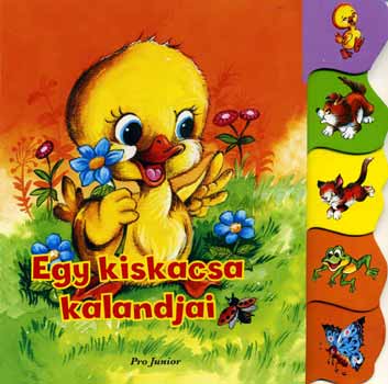 Egy kiskacsa kalandjai