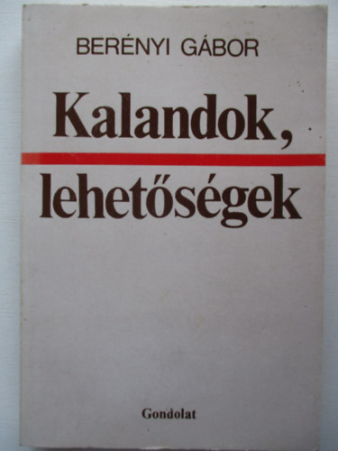 Berényi Gábor - Kalandok, lehetőségek