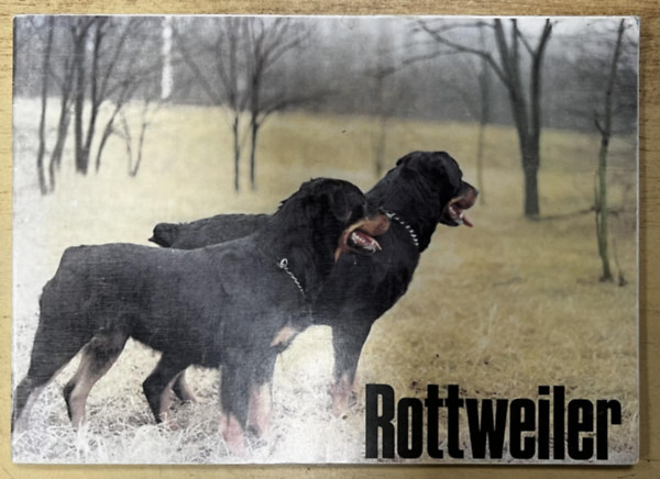 Rottweiler - A MEOE rottweiler fajtaszakosztály információs füzete