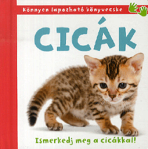 Cicák - Ismerkedj meg a cicákkal!