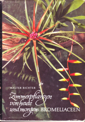 Walter Richter - Zimmerpflanzen von heute und morgen: Bromeliaceen