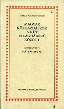 Mátyás Antal szerk. - Magyar közgazdászok a két világháború között