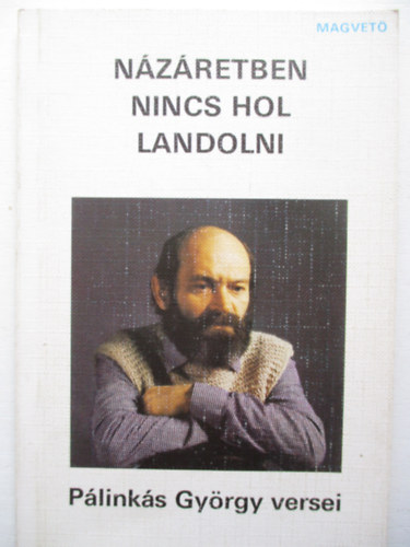P�link�s Gy�rgy - N�z�retben nincs hol landolni