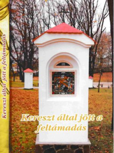 Hanusi Attila Stella Leontin - Kereszt ltal jtt a feltmads