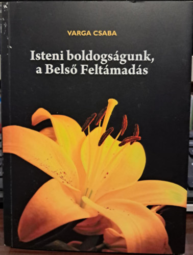 Varga Csaba - Isteni boldogsgunk, a Bels Feltmads