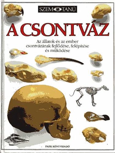 Steve Parker - A csontv�z (Szemtan�)