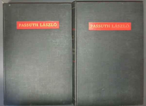 Passuth L�szl� - Tal�lkoztam es�istennel + A b�borbansz�letett (2 m�)