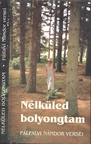 Pálfalvi Nándor - Nélküled bolyongtam