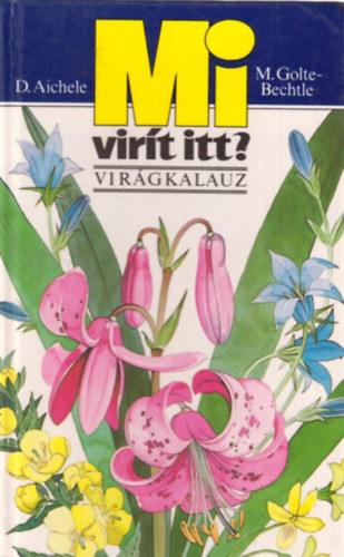 M.golte, Aichele, Dietmar Bechtle - Mi virít itt? (virágkalauz)