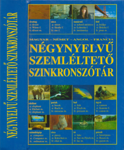 N�gynyelv� szeml�ltet� szinkronsz�t�r (Magyar-n�met-angol-francia)